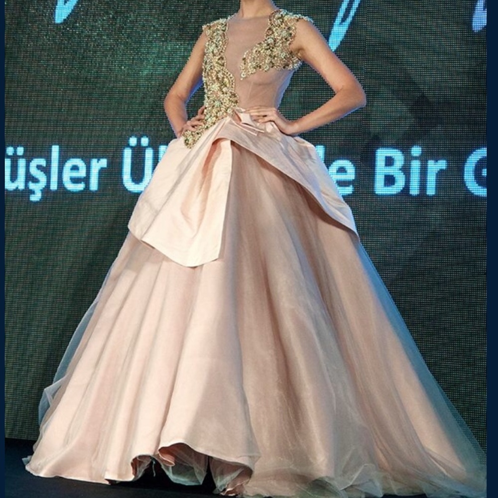 Off the runway mesh embellished evening gown